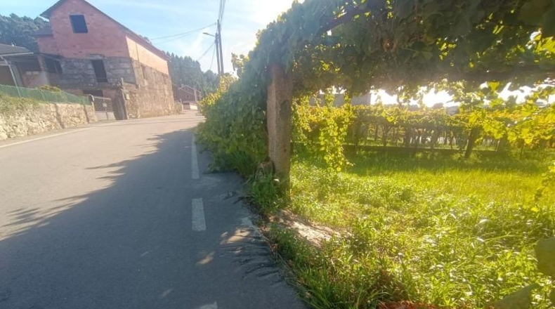 Pontevedra - As Covas - 556m2