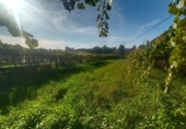 Sòl urbà en venda a la España, As Covas, ref.: TR339826 foto