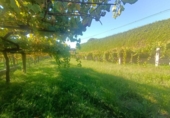 Sòl urbà en venda a la España, As Covas, ref.: TR339826 foto