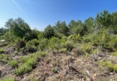 Non-developable land for sale on España, Buñol, ref: TR342852 photo