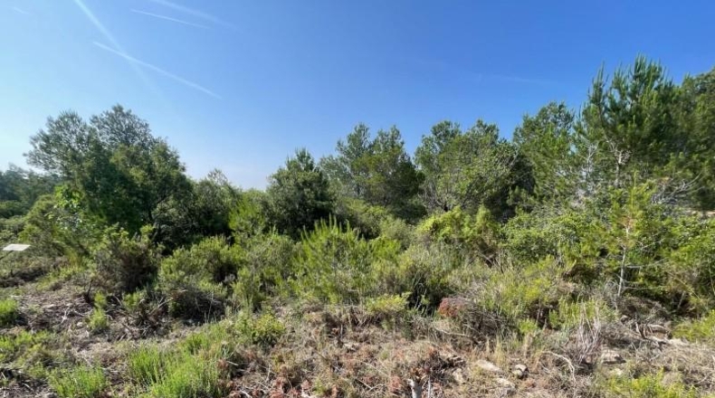 Valencia - Buñol - 7593m2