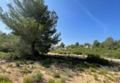 Non-developable land for sale on España, Buñol, ref: TR342852 photo