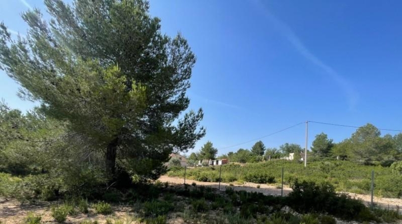 Valencia - Buñol - 7593m2
