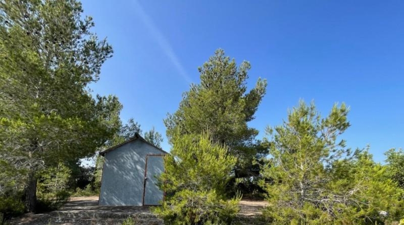 Valencia - Buñol - 7593m2