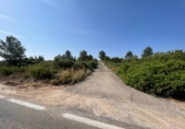 Non-developable land for sale on España, Buñol, ref: TR342852 photo
