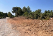 Non-developable land for sale on España, Buñol, ref: TR342852 photo