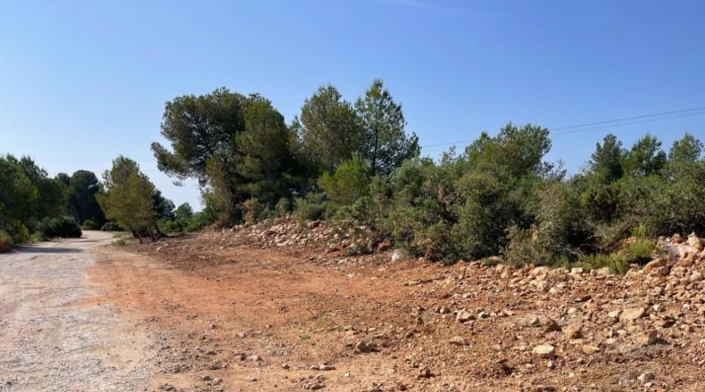 Valencia - Buñol - 7593m2