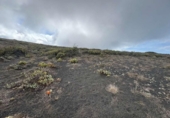 Non-developable land for sale on España, Haría, ref: TR344689 photo