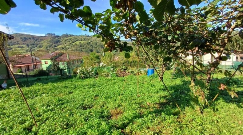 Asturias - Oviedo - 510m2