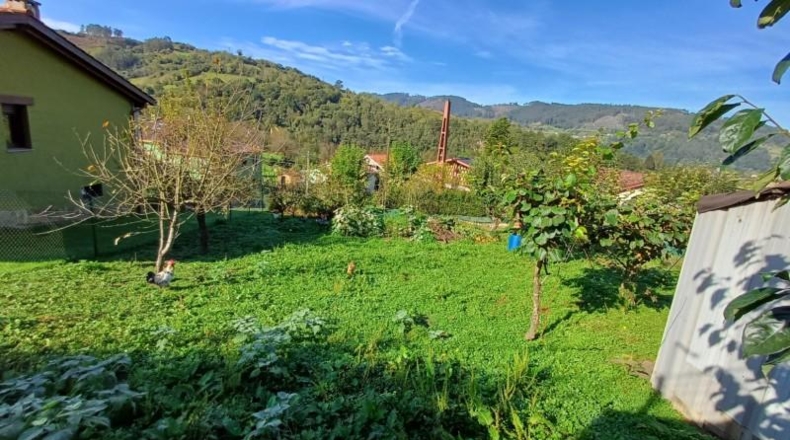 Asturias - Oviedo - 510m2