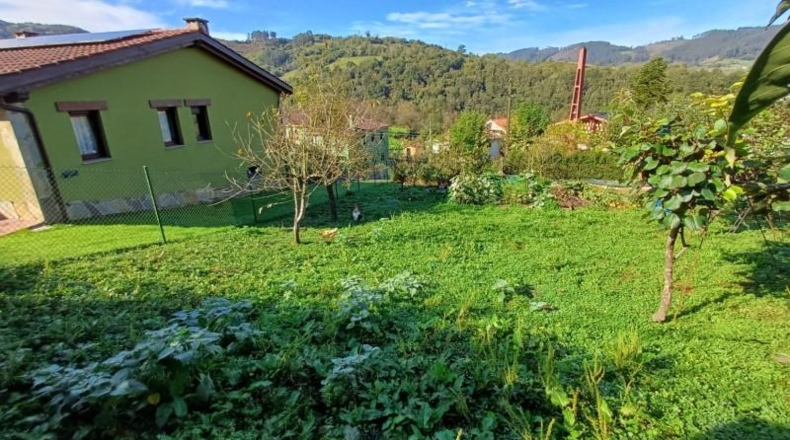 Asturias - Oviedo - 510m2