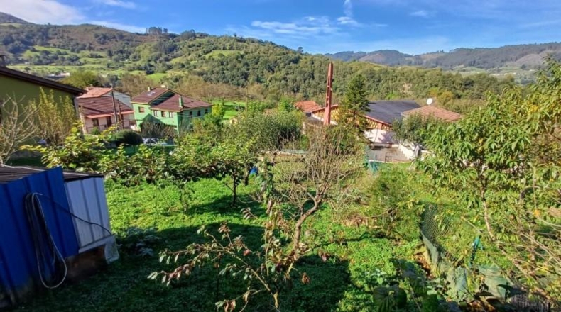 Asturias - Oviedo - 510m2