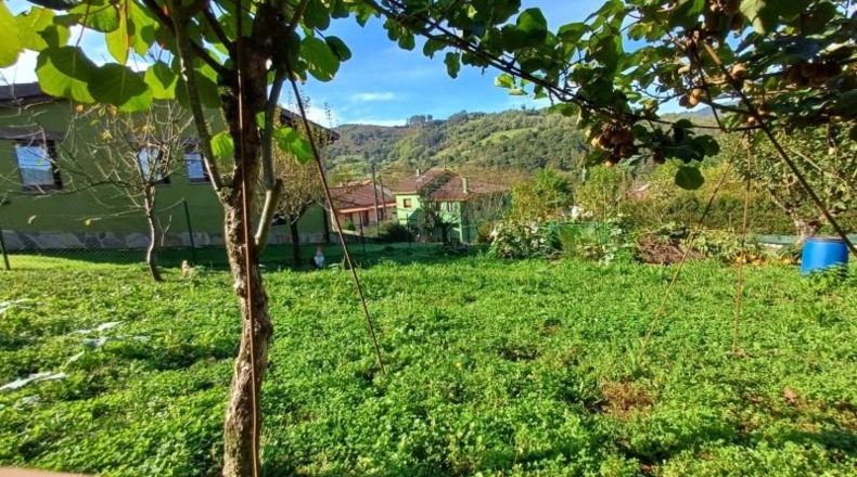 Asturias - Oviedo - 510m2
