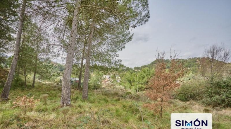 Barcelona - Molí de l'Alzina - 931m2