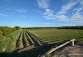 Non-developable land for sale on España, Orihuela, ref: TR120724 photo