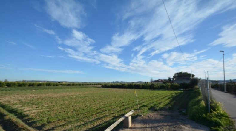 Alicante - Orihuela - 4400m2