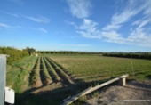 Non-developable land for sale on España, Orihuela, ref: TR120724 photo