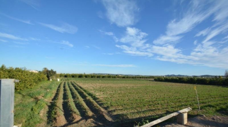 Alicante - Orihuela - 4400m2