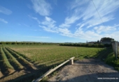 Non-developable land for sale on España, Orihuela, ref: TR120724 photo