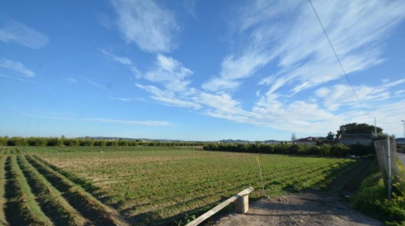 Alicante - Orihuela - 4400m2
