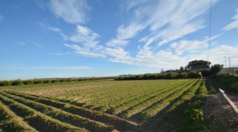 Alicante - Orihuela - 4400m2