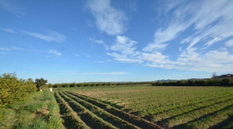 Alicante - Orihuela - 4400m2