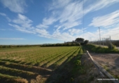 Non-developable land for sale on España, Orihuela, ref: TR120724 photo