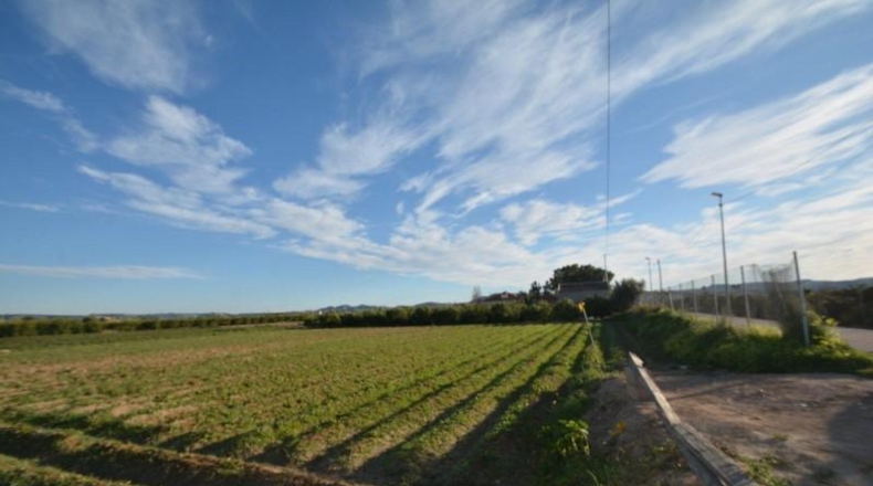 Alicante - Orihuela - 4400m2