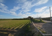 Non-developable land for sale on España, Orihuela, ref: TR120724 photo