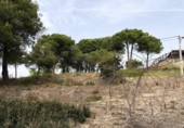 Sòl urbà en venda a la España, Piera, ref.: TR114047 foto
