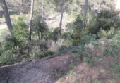 Parcel·la urbanitzable en venda a la España, Sant Llorenç Savall, ref.: TR313632 foto