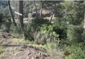 Parcel·la urbanitzable en venda a la España, Sant Llorenç Savall, ref.: TR313632 foto