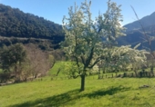 Земля на продажу у города Camaleño Фото