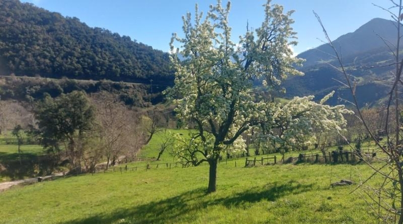 Cantabria - Camaleño - 1300m2