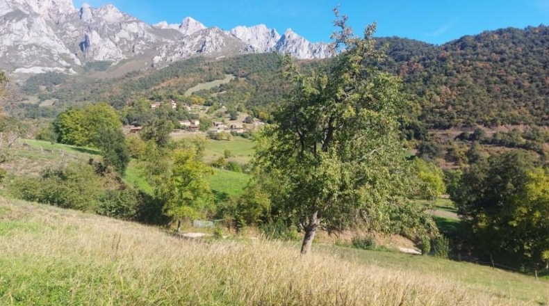 Cantabria - Camaleño - 1300m2