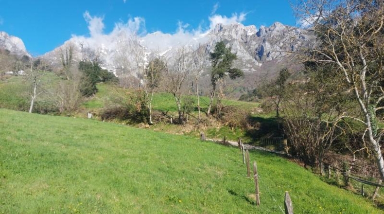 Cantabria - Camaleño - 1300m2