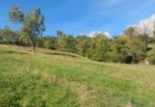 Земля на продажу у города Camaleño Фото