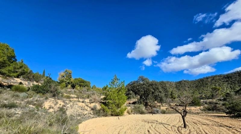 Alicante - Monòver - 23m2