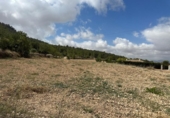 Land suitable for development for sale on España, Monóvar, ref: TR166016 photo