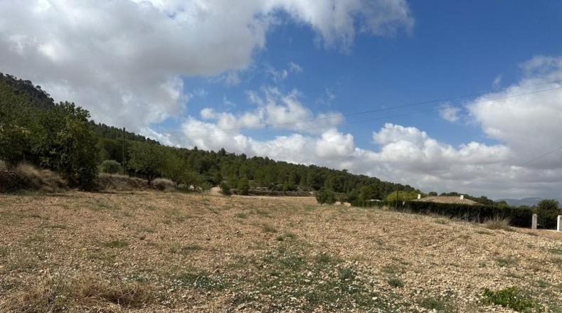 Alicante - Monóvar - 11000m2