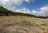 Land suitable for development for sale on España, Monóvar, ref: TR166016 photo