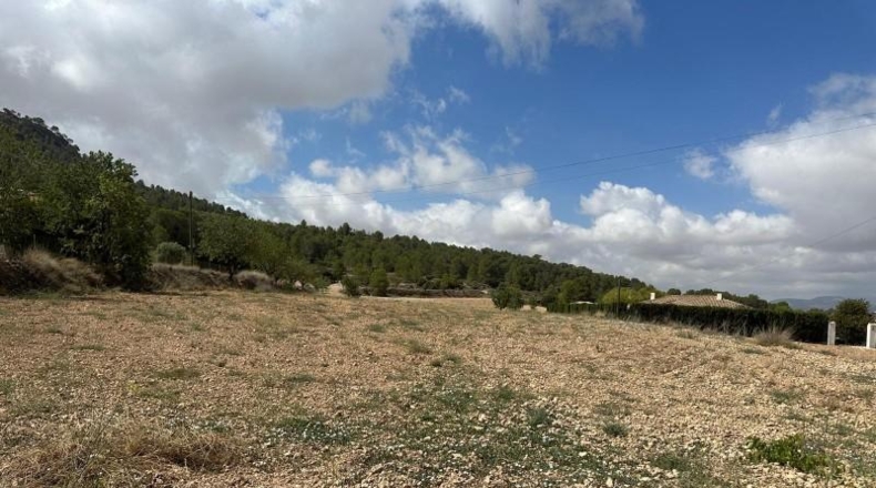 Alicante - Monóvar - 11000m2