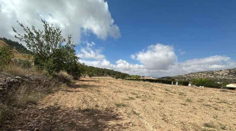 Alicante - Monóvar - 11000m2