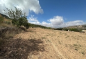Land suitable for development for sale on España, Monóvar, ref: TR166016 photo