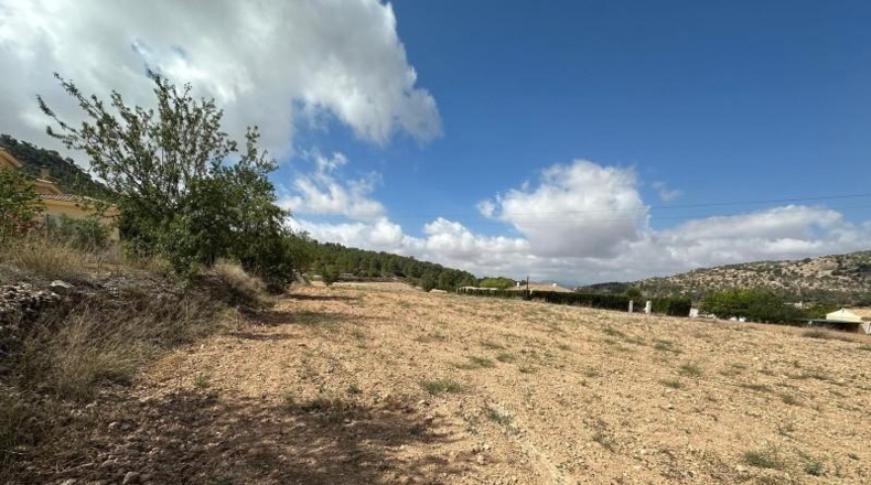 Alicante - Monóvar - 11000m2