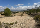 Land suitable for development for sale on España, Monóvar, ref: TR166016 photo