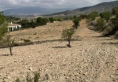 Land suitable for development for sale on España, Monóvar, ref: TR166016 photo