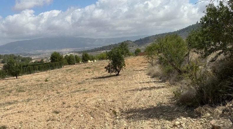 Alicante - Monóvar - 11000m2