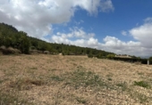 Land suitable for development for sale on España, Monóvar, ref: TR166016 photo