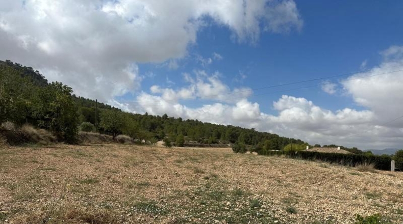 Alicante - Monóvar - 11000m2